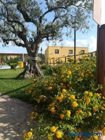 Agriturismo l'Olivo - Image 2