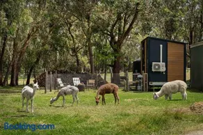 Sleeping Amongst Animals by Tiny Away - Image 2