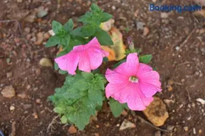 Ghare Farm - Image 1