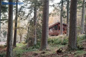 Glentress Forest Cabins - Forest Holidays - Image 3