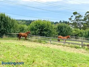 Entire Bowral Acreage - Image 1
