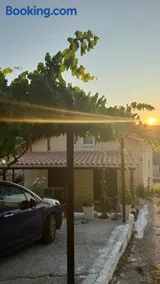 Basil & Sunrise - Image 2