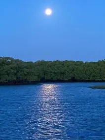 Itaparica Beach House - Image 4