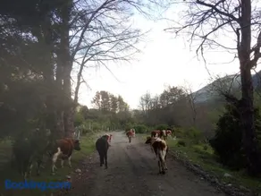Corral del Agua - Image 4