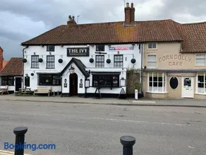 The Ivy - Image 1