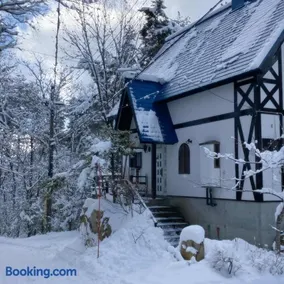 Forest View Guesthouse - Image 3