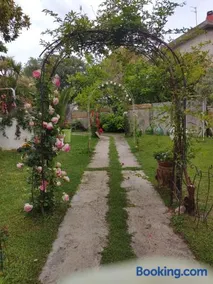 Villa Carol Appartamento e B&B - Image 2