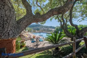 Villa Olive tree, immersa nella natura per relax e quiete - Image 2