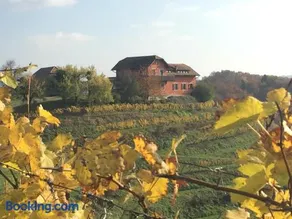 Hisa Vina - Image 5