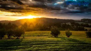 Denmark Scenic Tourist Park - Image 5