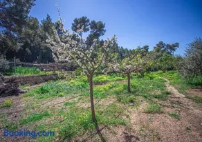 Sa Paissa - Casa de Campo Cala Bassa - Image 4