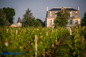 Château Malescasse - Image 5