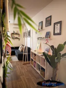 Compromis appartement maison - Image 4