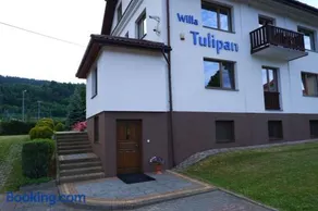 Willa Tulipan - Image 2