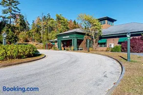 Idyllic dog-friendly studio cabin with AC, fireplace & WiFi - Image 1