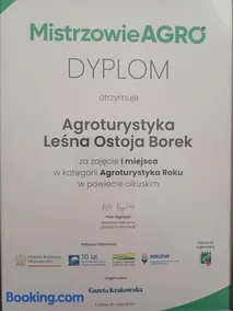 Agroturystyka Leśna Ostoja Borek - Image 2