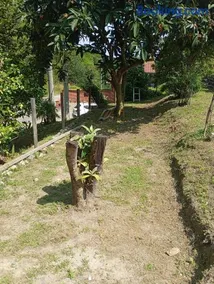 Rive rosse - Image 3