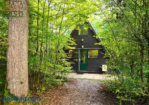 Bosmuis Ardennen, Genieten in de bossen in chalet 226 - Image 2