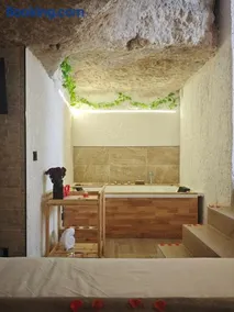 Amonite - Image 3