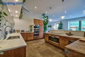 Olive Orchard - Image 3