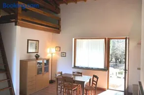 Montecasciano - Glicine - Image 1
