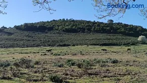 Sa domu 'eccia - Image 3