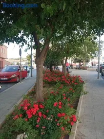 Apartamento San Miguel - Image 5