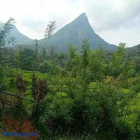 Meemure village stay - Image 3