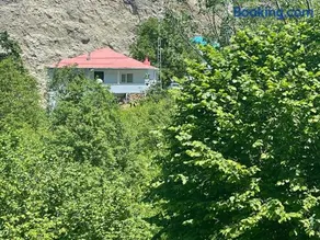 Hamsiköy green garden - Image 2