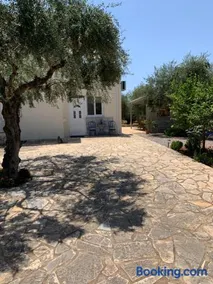 Asimenia Studio - Image 2