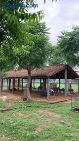 Bhumii Trials - Image 3