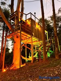 Cabana da Árvore e Cabana Retrô - ForestPlace - Image 4