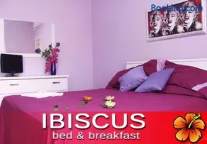 Ibiscus B&B - Image 1