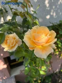 La Maison des Roses - Image 1