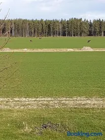 Värmlandsnäs Valdersrud Stenröse - Image 3