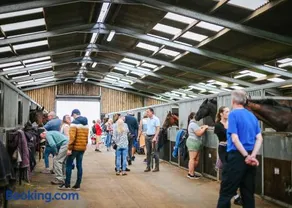 Pant Wilkin Lodges And Equestrian Centre - Image 3