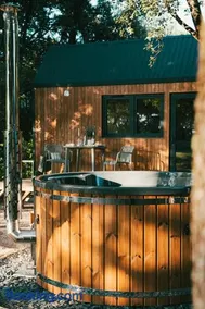 La Tiny sous les pins - Image 1