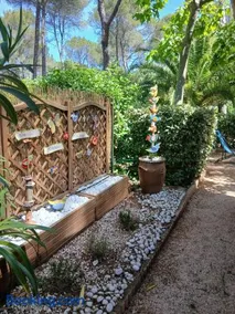 Le Damiseu - Image 1