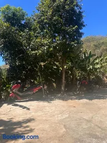 Cantinho verde - Image 4