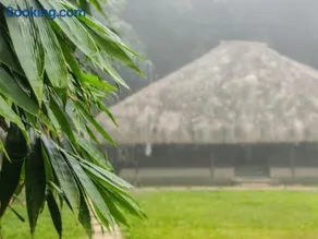 Bamboo Grove - Image 1