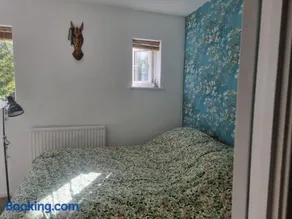 Cozy room in a house in SE London - shared facilities - Image 3