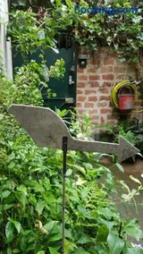 Le nichoir aux oiseaux - Image 1