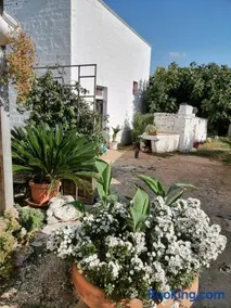Trulli la casa di Rosa - Image 4