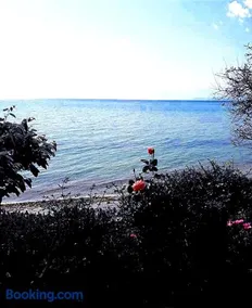 Mare Nostrum - Image 3