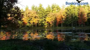 Pet-friendly peaceful pondside home near to Keene,Rindge, & Mt Monadnock - Image 3
