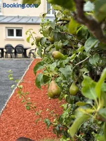 Maison 6 personnes plage Normandie - Image 2