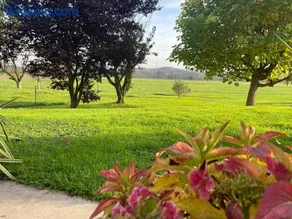 FeWo - Natur, Ruhe und Erholung - Image 1