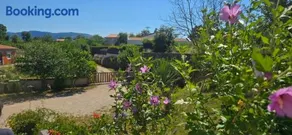 Studio Apartment Loly - Image 1