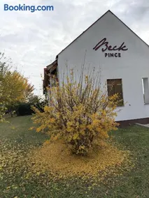 Beck Pince - Image 2