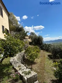 La bella vista - Image 2